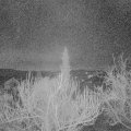 Webcam_20190223-060000