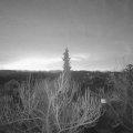 Webcam_20190223-063000
