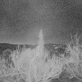 Webcam_20190224-060000