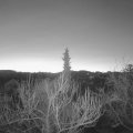 Webcam_20190224-063000