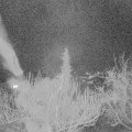 Webcam_20190224-200000