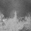 Webcam_20190224-203000
