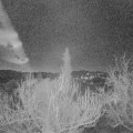 Webcam_20190225-060000
