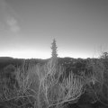 Webcam_20190225-063000