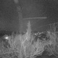 Webcam_20190225-190000