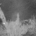 Webcam_20190225-203000