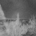 Webcam_20190226-060000