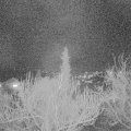 Webcam_20190226-193000