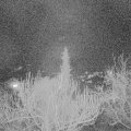 Webcam_20190226-210000