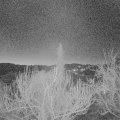 Webcam_20190227-060000