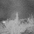 Webcam_20190227-193000