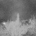 Webcam_20190227-203000
