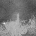 Webcam_20190227-210000