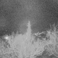 Webcam_20190227-213000