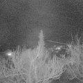 Webcam_20190228-200000