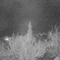 Webcam_20190228-220000