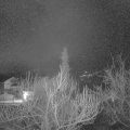 Webcam_20190301-060000