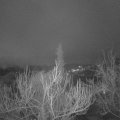 Webcam_20190301-063000