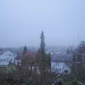 Webcam_20190301-073000