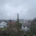 Webcam_20190301-113000