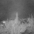 Webcam_20190301-210000