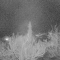 Webcam_20190301-220000