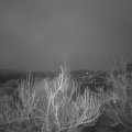 Webcam_20190302-063000