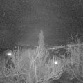 Webcam_20190302-190000