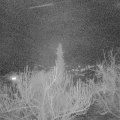 Webcam_20190302-200000