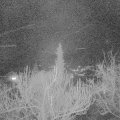 Webcam_20190302-203000