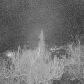 Webcam_20190302-210000