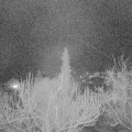 Webcam_20190302-220000