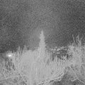 Webcam_20190303-200000