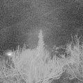 Webcam_20190304-220000