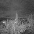 Webcam_20190305-190000