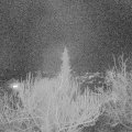 Webcam_20190305-193000