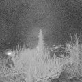 Webcam_20190305-200000