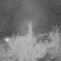 Webcam_20190305-203000