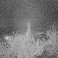 Webcam_20190305-210000