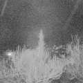 Webcam_20190305-213000