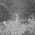 Webcam_20190306-200000