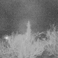 Webcam_20190306-203000
