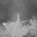 Webcam_20190306-213000