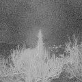 Webcam_20190307-060000