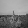 Webcam_20190308-063000