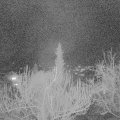 Webcam_20190308-203000