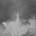 Webcam_20190308-210000