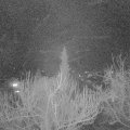 Webcam_20190308-220000