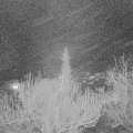 Webcam_20190309-213000