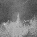 Webcam_20190310-210000